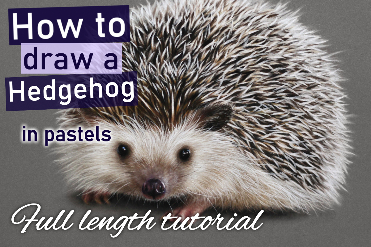 Hedgehog in pastels