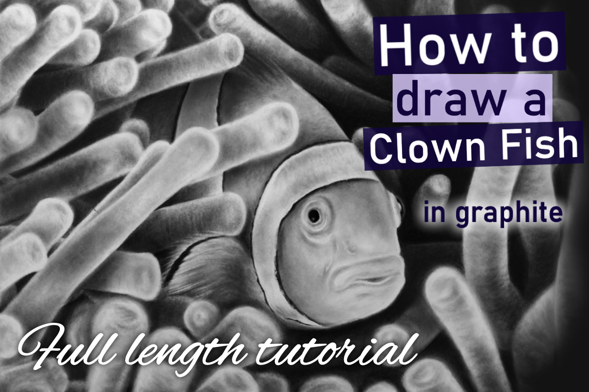 Clown Fish in graphite