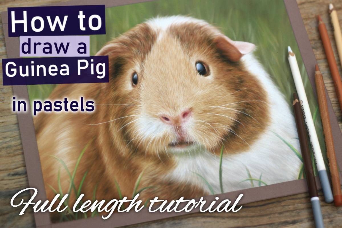 Guinea Pig in pastels