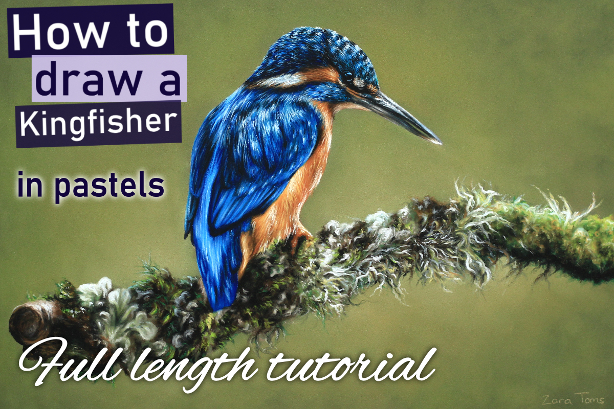 Kingfisher in pastels