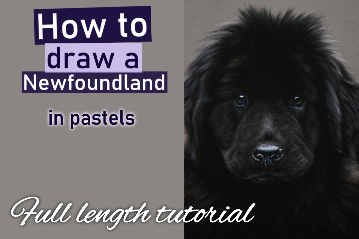 Newfoundland puppy in pastels