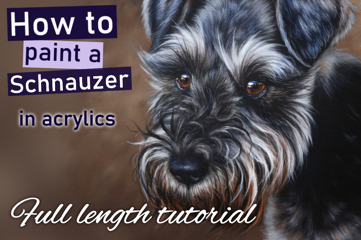 Schnauzer in acrylics