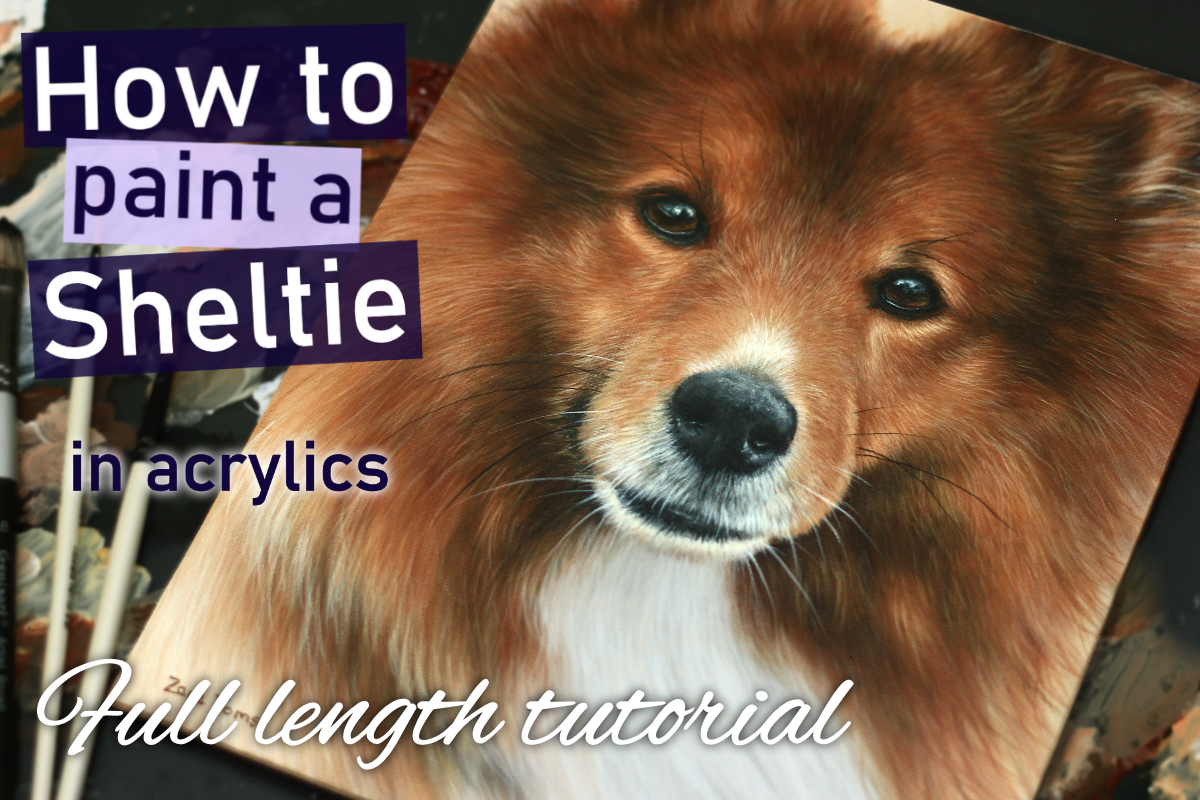 Sheltie in acrylics